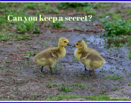 Can you keep a secret featured pic